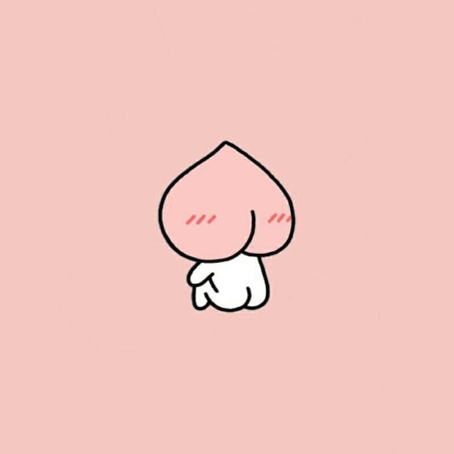 のせえりか