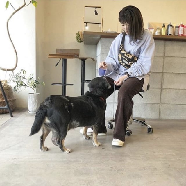 yukko