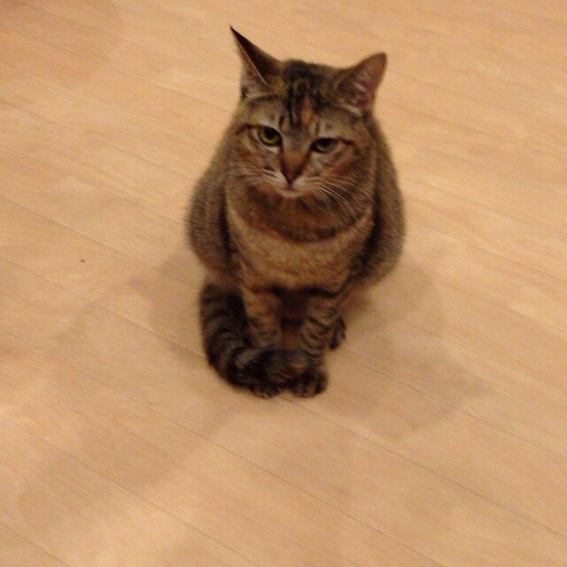 ゆう介