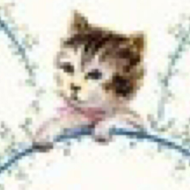 am