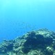 よーのアイコン