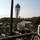 sayaのアイコン