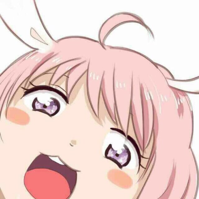 河马兔