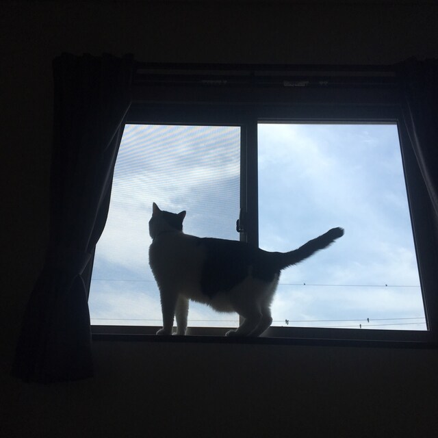 y