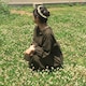 Tsukimiのアイコン
