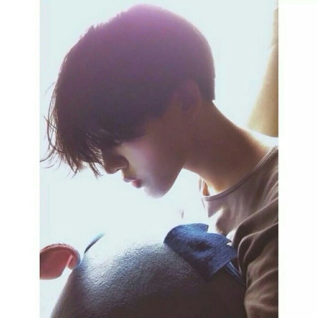 万能治愈君