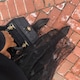 Latoya Bahiyah Boydのアイコン