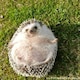 may▽のアイコン