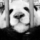 十九話のアイコン