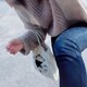 のこのこのアイコン