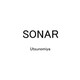 sonar1201