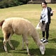 さなのアイコン