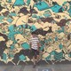 張堯棟のアイコン