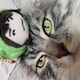 くろこはーーんのアイコン