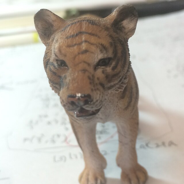 ソラ