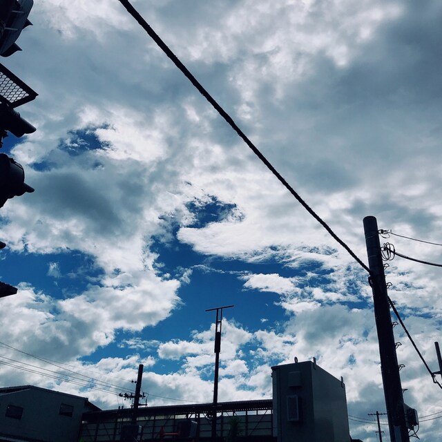 はるまき