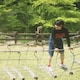たとえばのアイコン