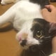 くじらのアイコン