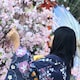やっちゃんのアイコン