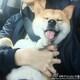 五里朝晖のアイコン