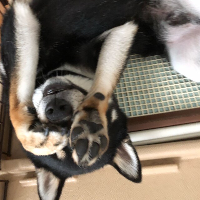 あきやまん