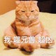 得空零碎乐些のアイコン