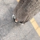 nnnのアイコン