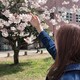 ぽぽりのアイコン