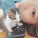 ぺぇたんのアイコン
