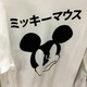 ぶーのアイコン