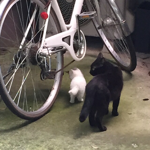 べー