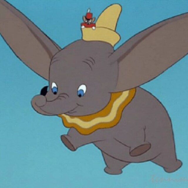 みきぽん
