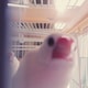 かなえのアイコン