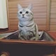 Towerのアイコン