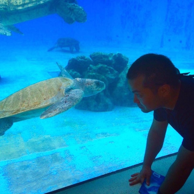 Daisuke Yamamoto