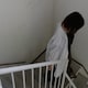 はるかのアイコン