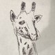 iiiii38のアイコン