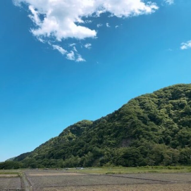 masatoshi.T.