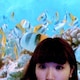 34のアイコン