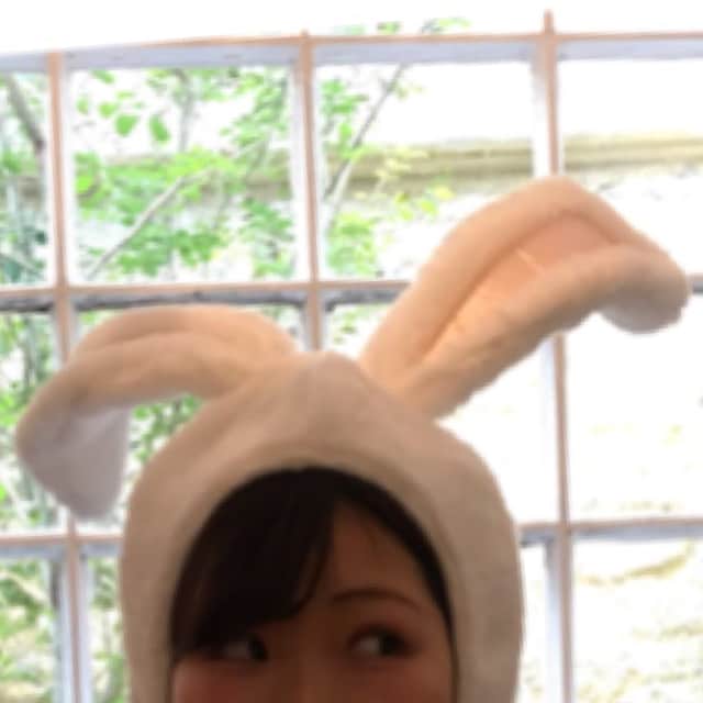 アラレ
