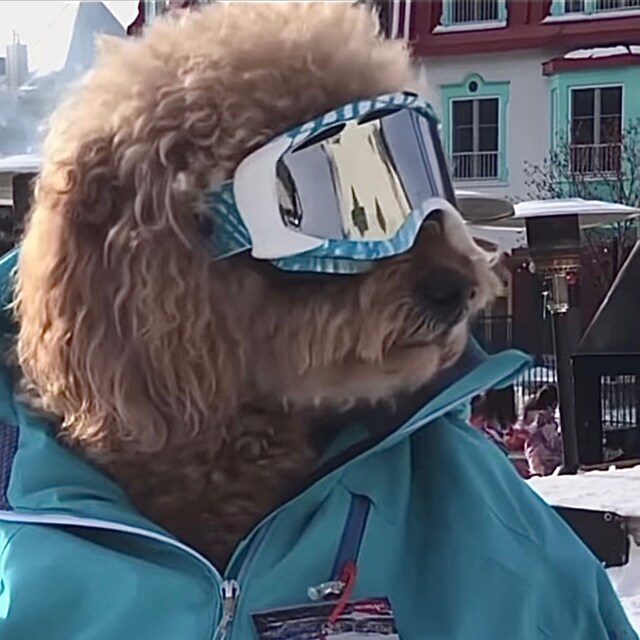 りょうすけ