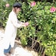 Kotoseのアイコン