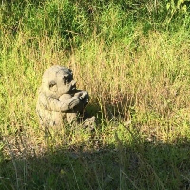 つかはら