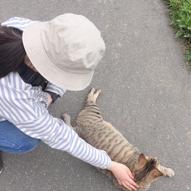 みんご